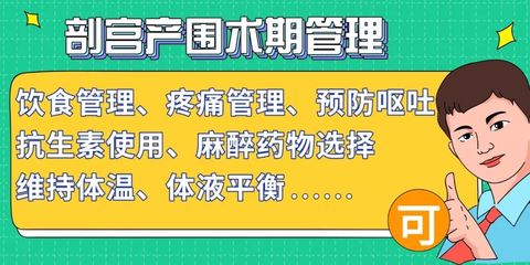 现代餐饮管理的核心要素与实践策略