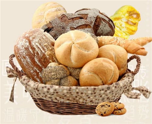 小成本创业者是否适合加盟左右欧包、秦皇岛麦翁餐饮与掌上披萨？