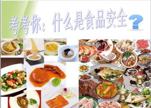 我的饭堂我做主 学生膳食管理小组带你走进电职厨房餐饮管理